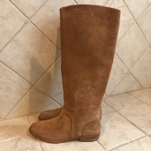 NWT Ugg Daley Suede Knee High Boots